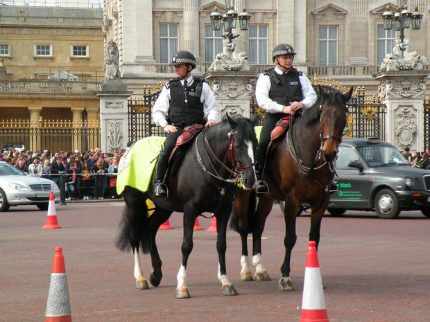  beaux chevaux montés par des policiers londoniens